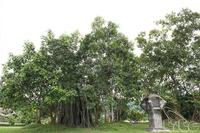 Tour Atk Định Hóa – Cây Đa Tân Trào – Hồ Núi Cốc – Hà Nội