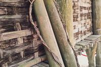 ỐNG TRE ĐỰNG NƯỚC CỦA BÁC HỒ Ở TÂN TRÀO – BIỂU TƯỢNG CỦA LỐI SỐNG GIẢN DỊ VÀ TINH THẦN CÁCH MẠNG